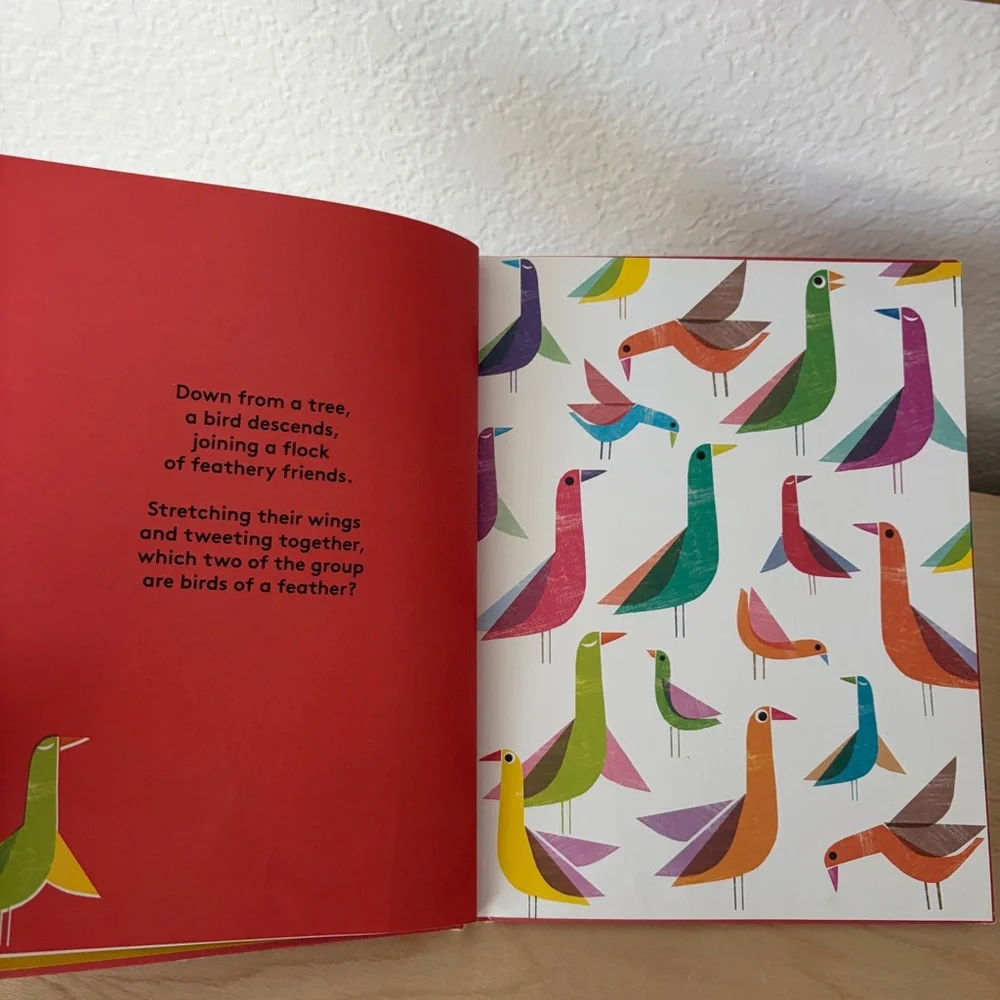 Where's The Pair? Spotting Book - Children’s Hardcover Book